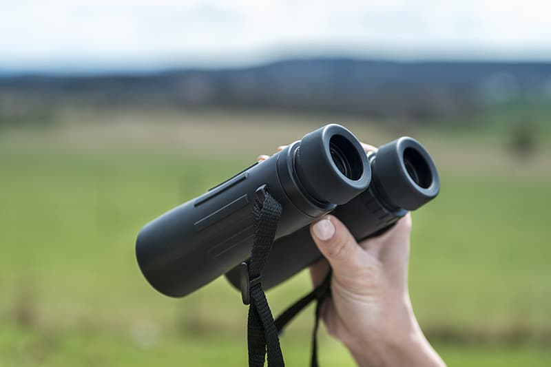 How To Check If Binoculars Are Properly Collimated (Easy Guide)